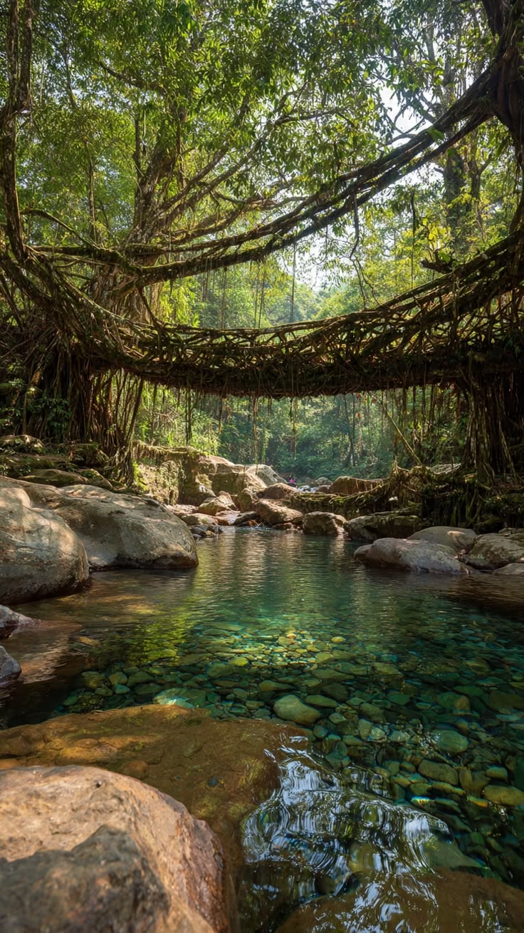Meghalaya Scenic Escape with Mawlynnong & Dawki